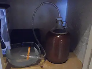 everyday ipa fermentation