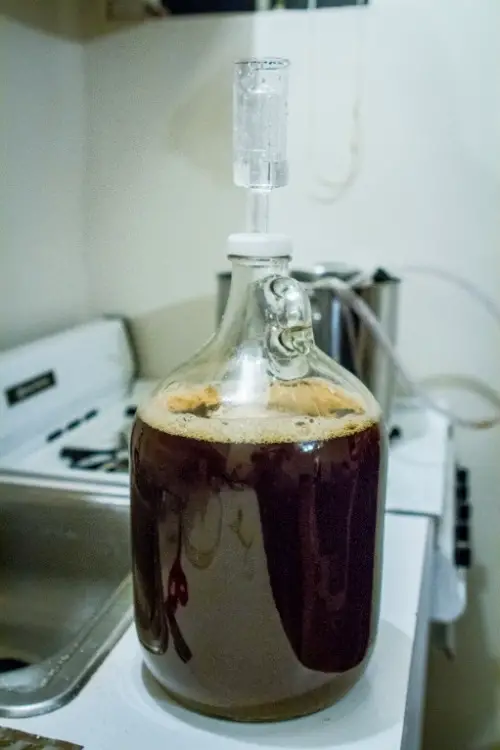 1-gallon carboy beer brewing