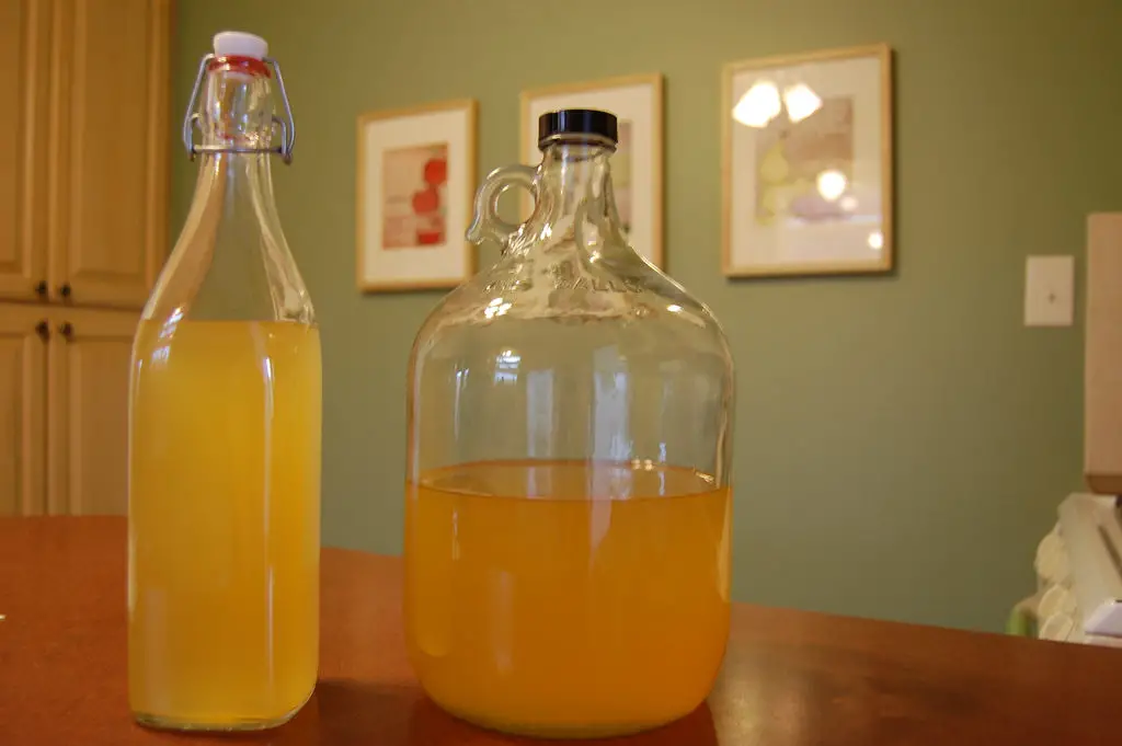 3 Best Brewing Cider Kits To Brew Like A Pro [Buying Guide]