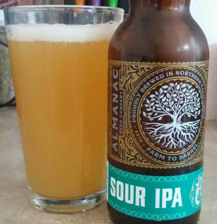 sour ipa