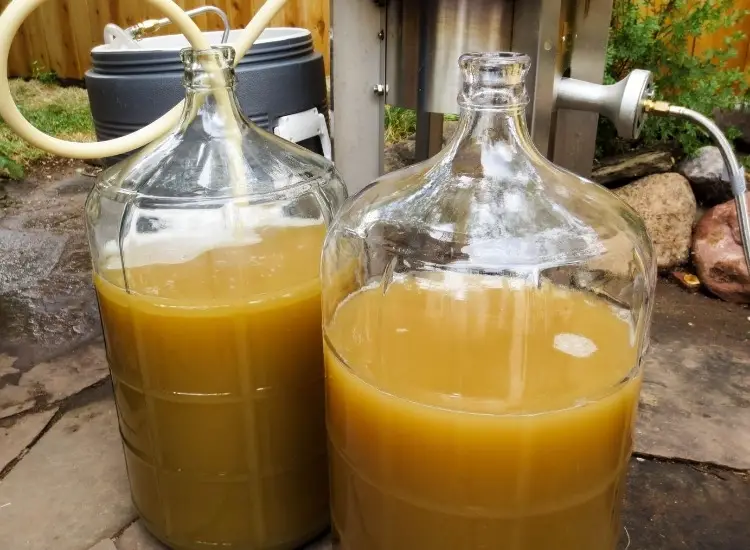 5-gallon carboys beer brewing