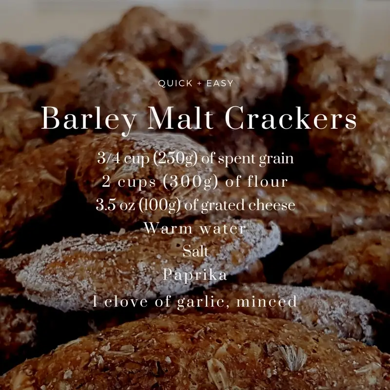 barley malt crackers spend grain recipe