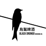 black drongo brewing