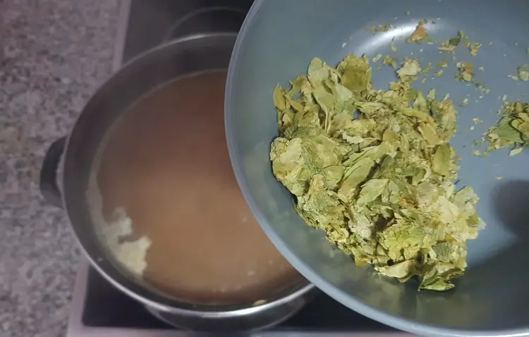 boiling hops