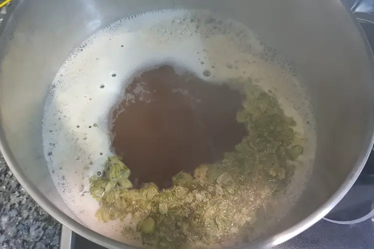 boiling wort with hops