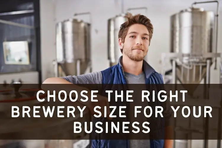 choosing brewery size