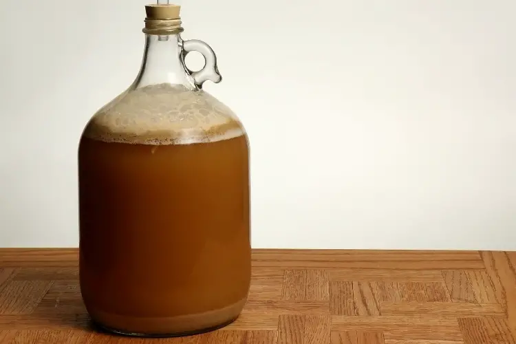 brewing glass carboy