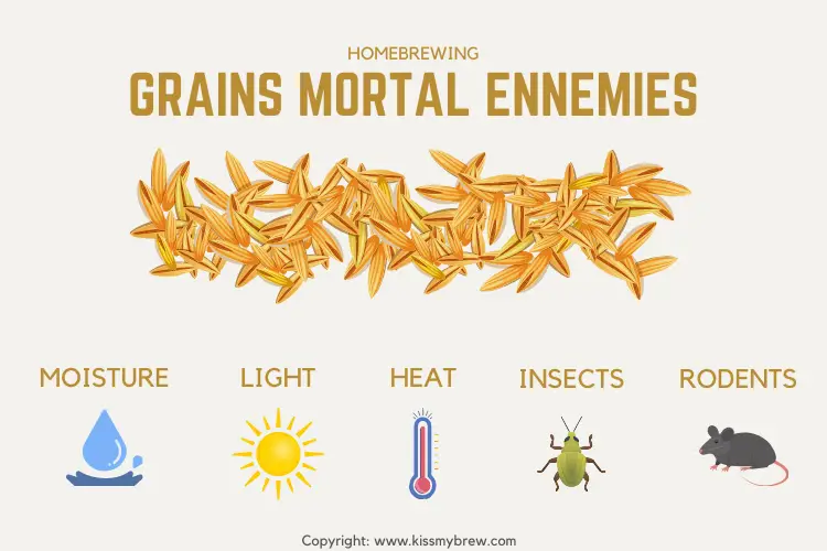 brewing beer grains ennemies