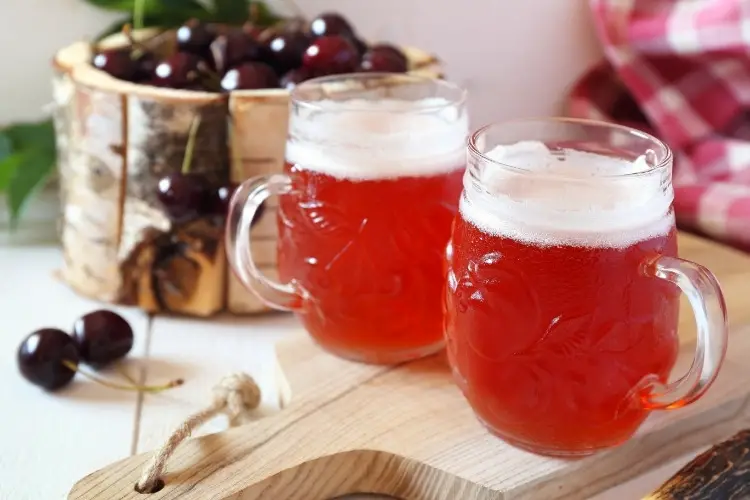 homebrewing with fruits