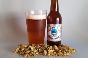 double ipa (mosaic city)