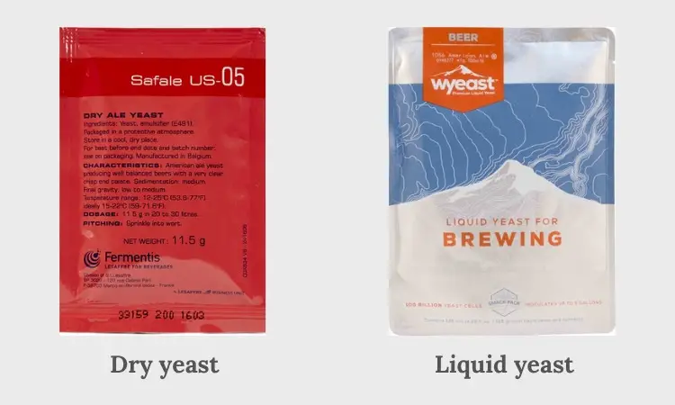 difference dry yeast and liquid yeast