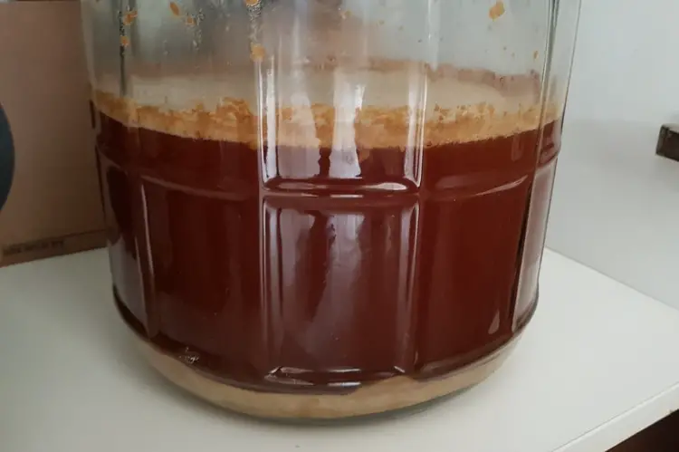 fermentation ipa extract