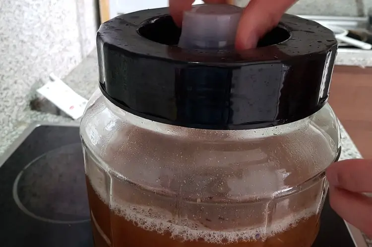 fermenter lid