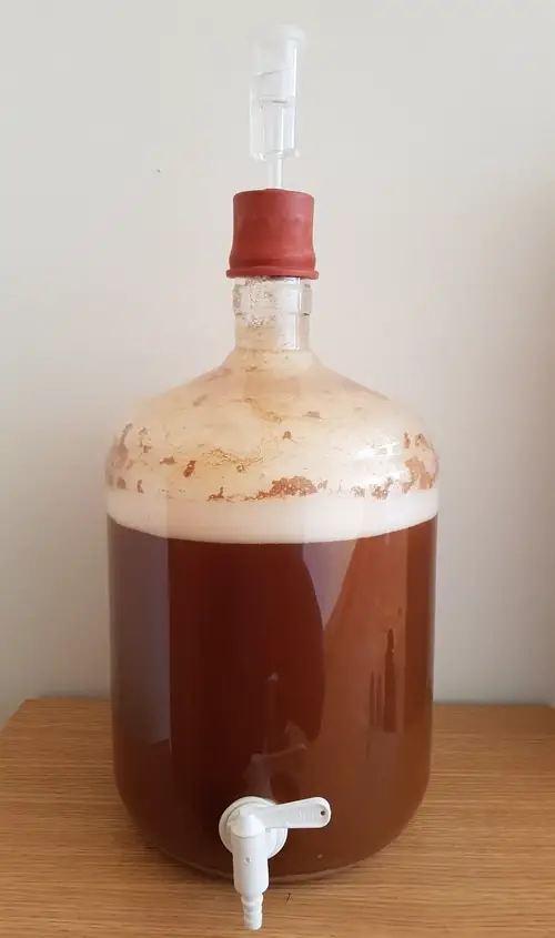 Water or Vodka in the Airlock? What Liquid Is Best?