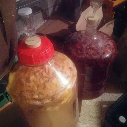 fermenting fruits