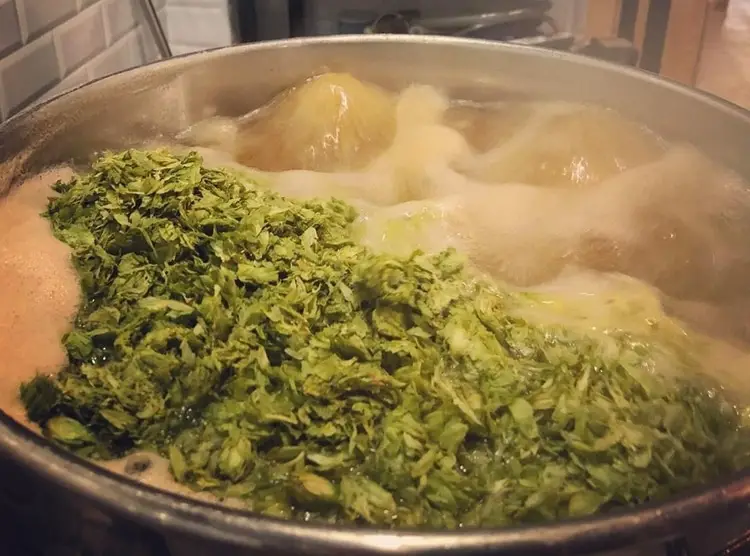 hops boiling