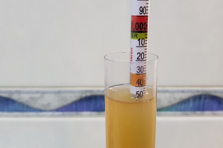 hydrometer reading