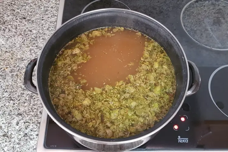 wort with hops