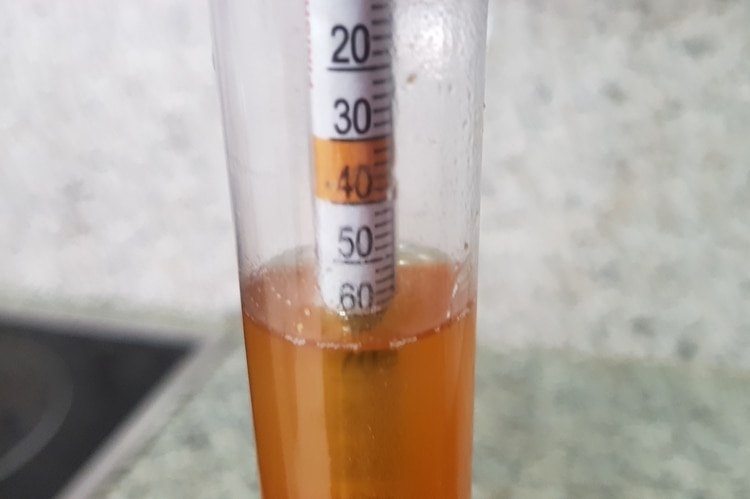 low gravity wort