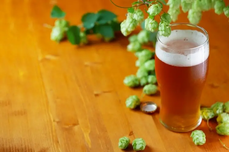 most hoppy beers