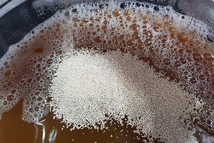 pitching dry yeast