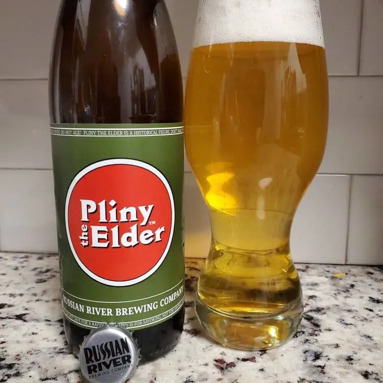 pliny the elder