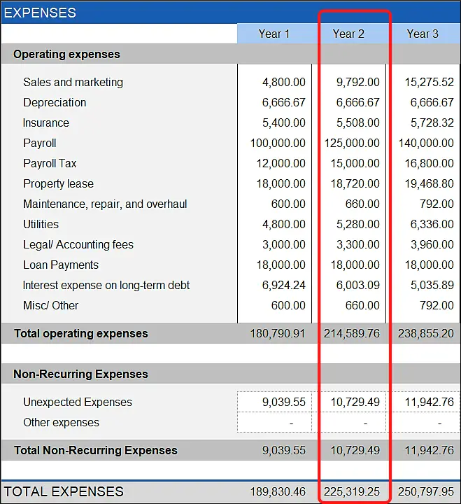 sample summary of annual expenses