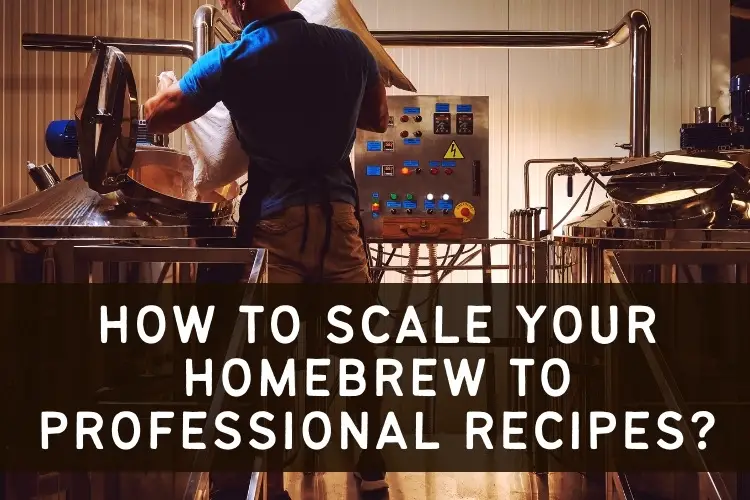 scaling homebrew to pro recipes