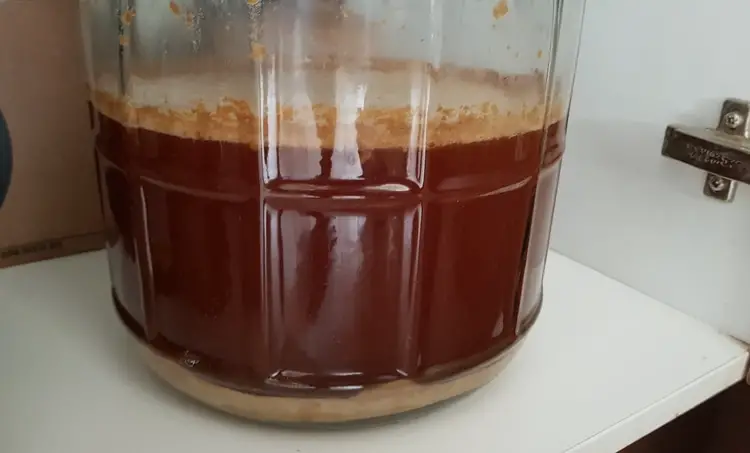 Primary and Secondary Fermentation: What's the Difference? - SeconDary Fermentation