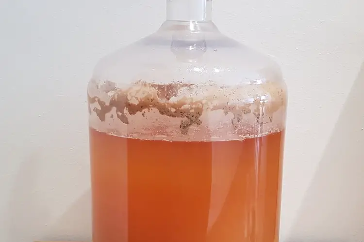 secondary fermentation