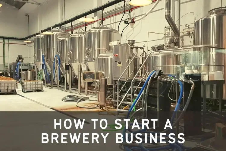 how to start a brewery business