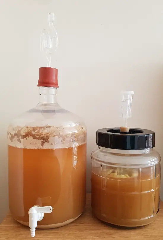 two fermenters with airlocks