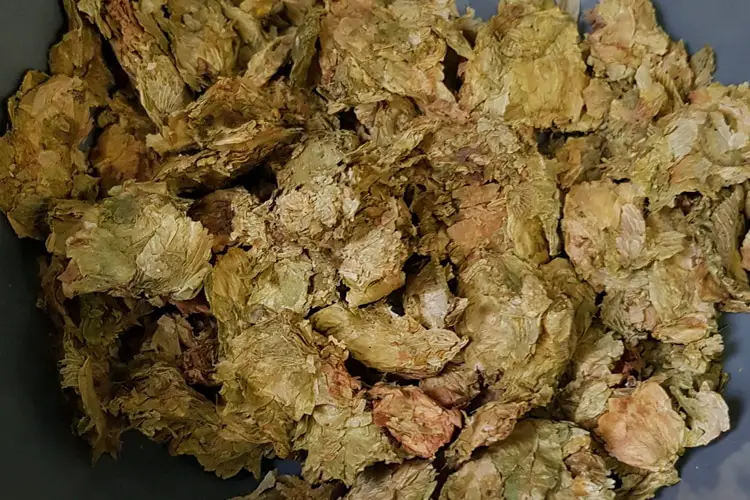 mosaic whole leaf hops