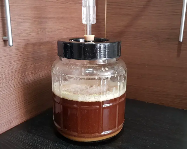 wort in fermenter