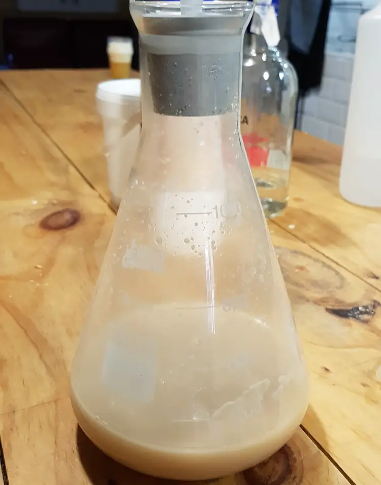 yeast starter